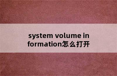 system volume information怎么打开